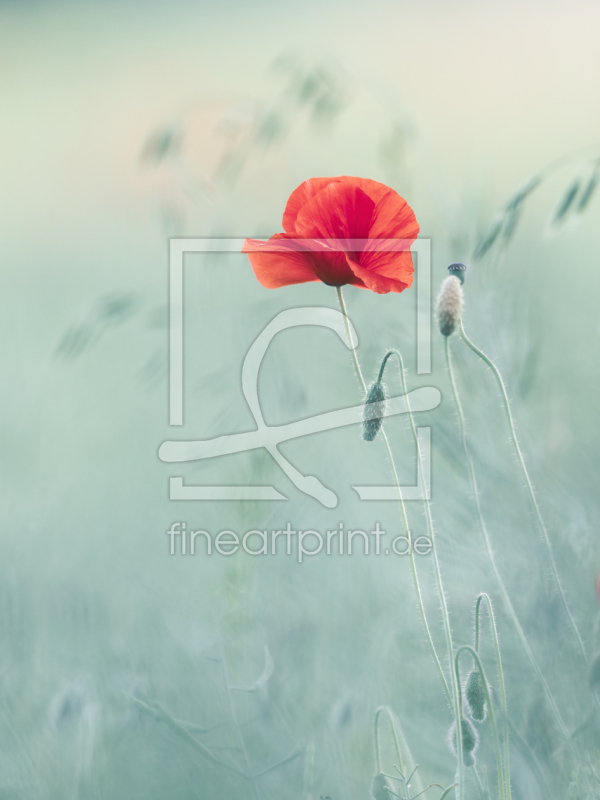 frei wählbarer Bildausschnitt für Ihr Bild auf Grußkarte