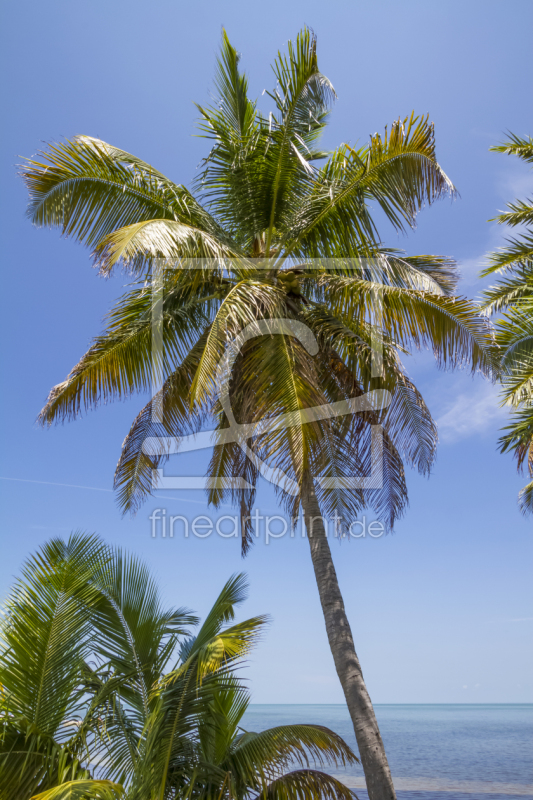 frei wählbarer Bildausschnitt für Ihr Bild auf Grußkarte