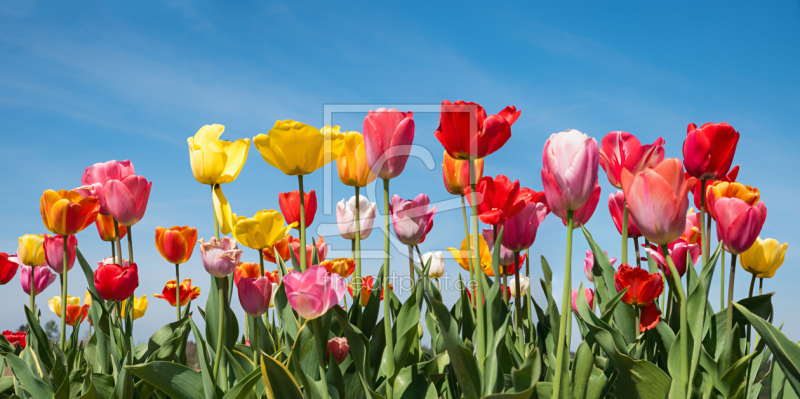frei wählbarer Bildausschnitt für Ihr Bild auf Grußkarte