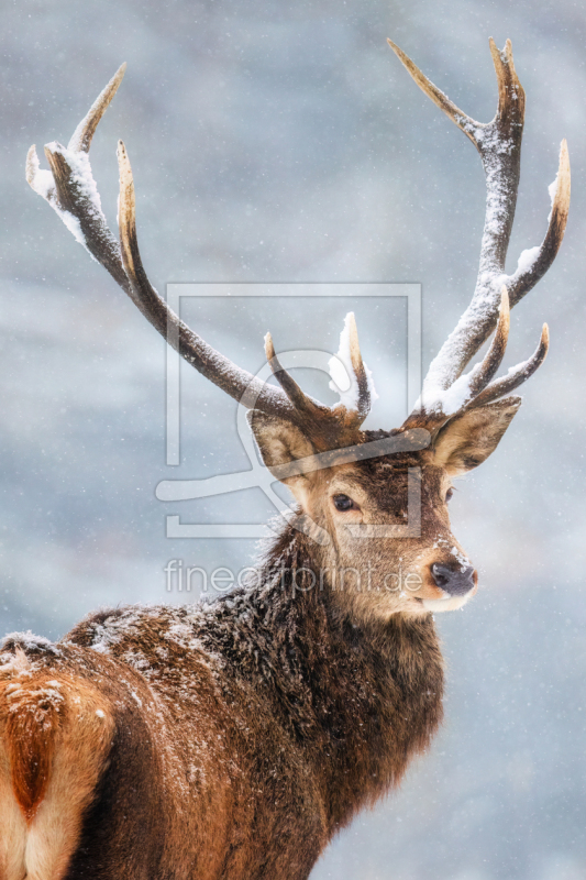 frei wählbarer Bildausschnitt für Ihr Bild auf Grußkarte