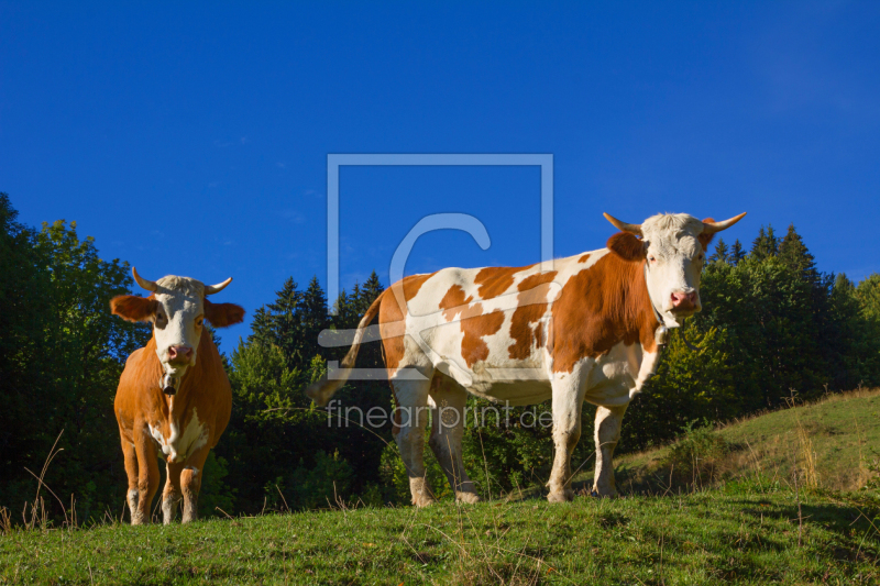 frei wählbarer Bildausschnitt für Ihr Bild auf Grußkarte