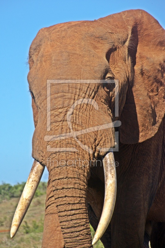 frei wählbarer Bildausschnitt für Ihr Bild auf Grußkarte