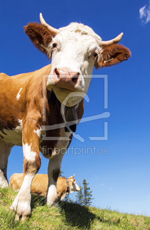 frei wählbarer Bildausschnitt für Ihr Bild auf Grußkarte