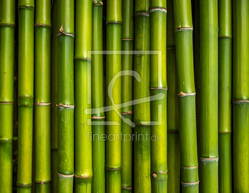 frei wählbarer Bildausschnitt für Ihr Bild auf Grußkarte