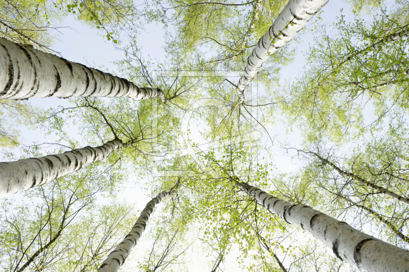 frei wählbarer Bildausschnitt für Ihr Bild auf Grußkarte
