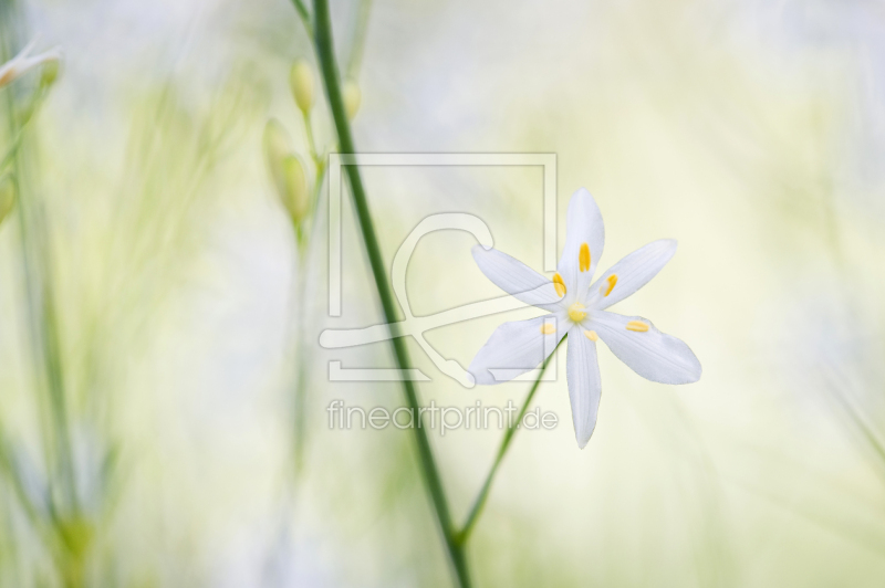 frei wählbarer Bildausschnitt für Ihr Bild auf Grußkarte