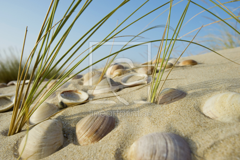 frei wählbarer Bildausschnitt für Ihr Bild auf Grußkarte
