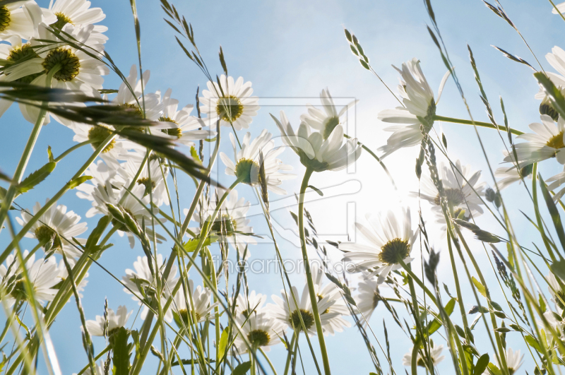 frei wählbarer Bildausschnitt für Ihr Bild auf Grußkarte