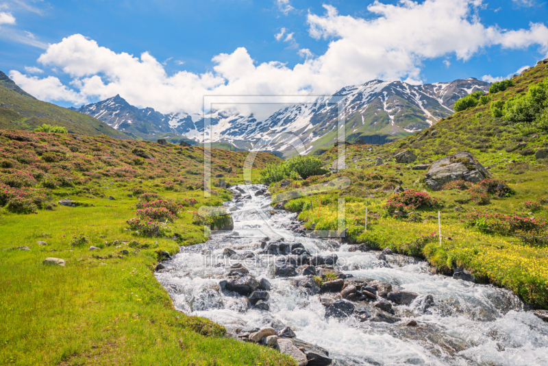 frei wählbarer Bildausschnitt für Ihr Bild auf Grußkarte