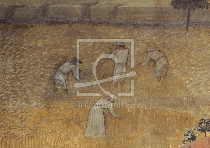 frei wählbarer Bildausschnitt für Ihr Bild auf Grußkarte