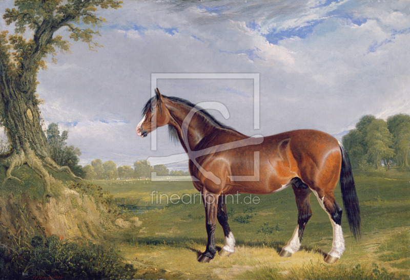 frei wählbarer Bildausschnitt für Ihr Bild auf Grußkarte