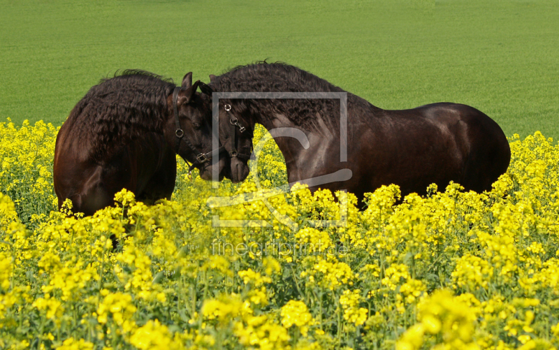 frei wählbarer Bildausschnitt für Ihr Bild auf Grußkarte