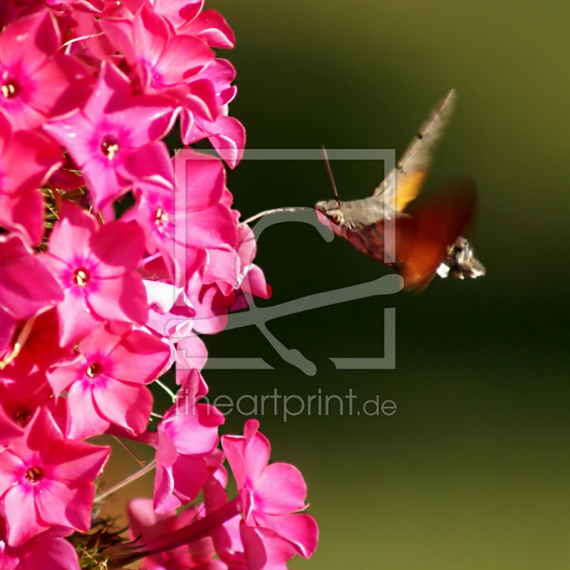 frei wählbarer Bildausschnitt für Ihr Bild auf Grußkarte