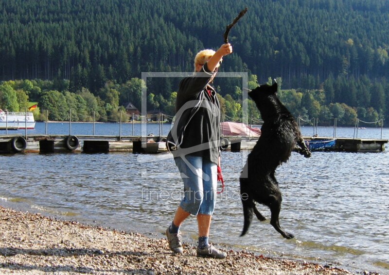 frei wählbarer Bildausschnitt für Ihr Bild auf Grußkarte