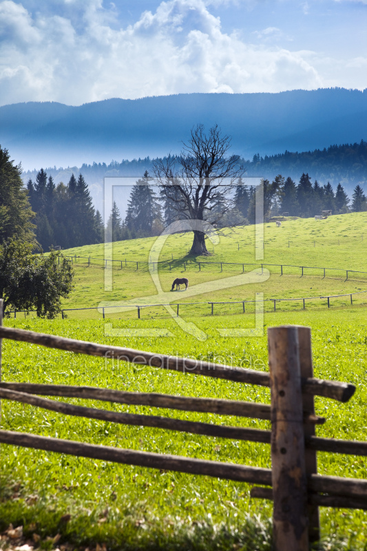 frei wählbarer Bildausschnitt für Ihr Bild auf Grußkarte