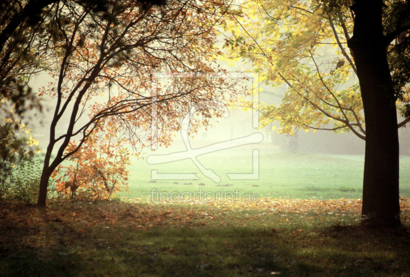 frei wählbarer Bildausschnitt für Ihr Bild auf Grußkarte