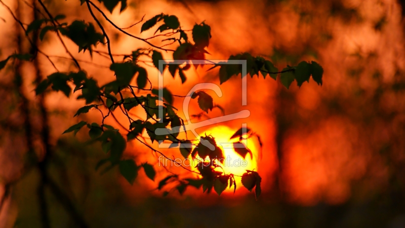 frei wählbarer Bildausschnitt für Ihr Bild auf Grußkarte