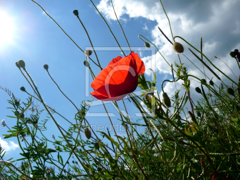 frei wählbarer Bildausschnitt für Ihr Bild auf Grußkarte