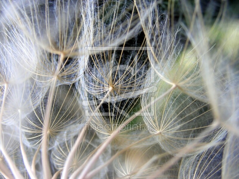 frei wählbarer Bildausschnitt für Ihr Bild auf Grußkarte