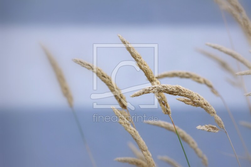 frei wählbarer Bildausschnitt für Ihr Bild auf Grußkarte