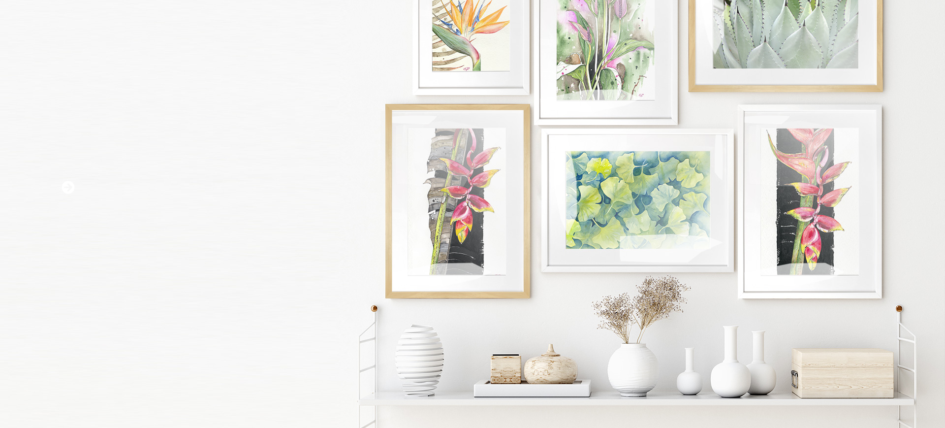 Kollektion Pflanzenfreu(n)de