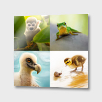 sweeties 2 von photoplace
