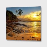 rocks and palms von photoplace