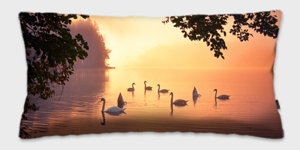 Schwanensee von photoplace