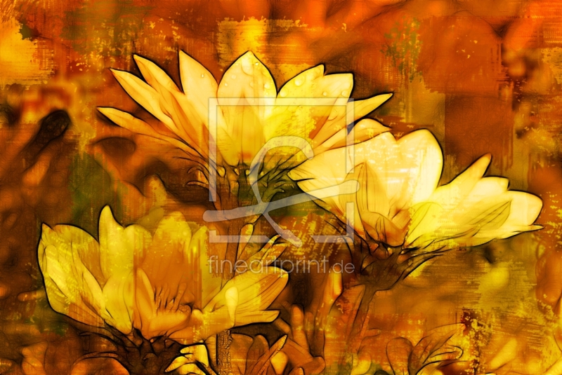 frei w&auml;hlbarer Bildausschnitt f&uuml;r Ihr Bild auf Kissen