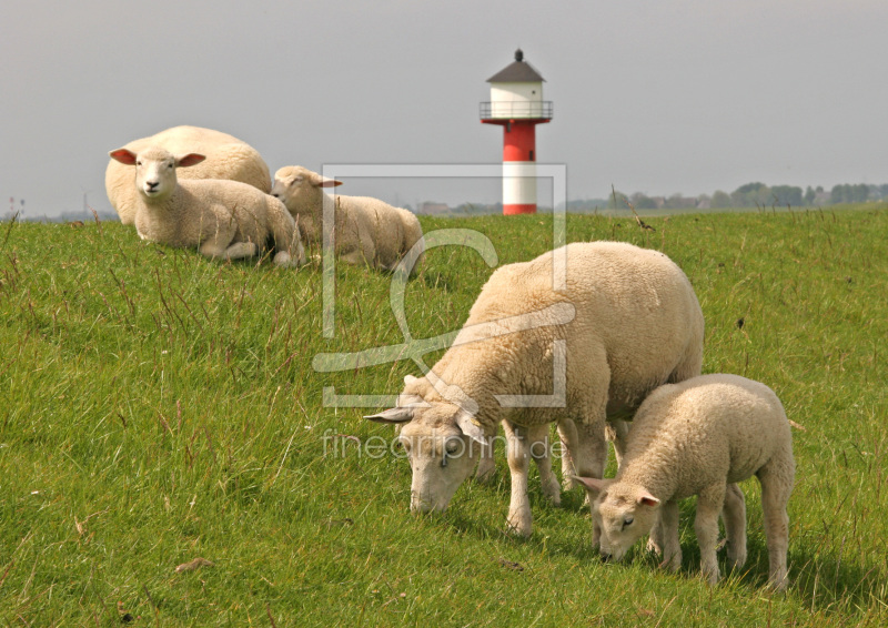 frei wählbarer Bildausschnitt für Ihr Bild auf Kissen