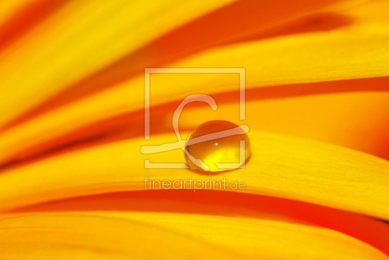 frei w&auml;hlbarer Bildausschnitt f&uuml;r Ihr Bild auf Kissen