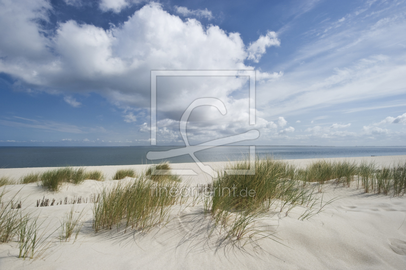 frei wählbarer Bildausschnitt für Ihr Bild auf Kissen
