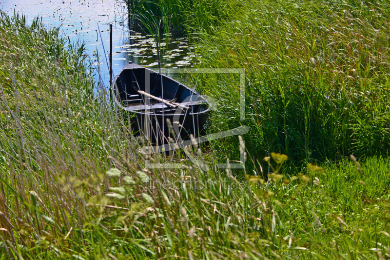 frei wählbarer Bildausschnitt für Ihr Bild auf Kissen
