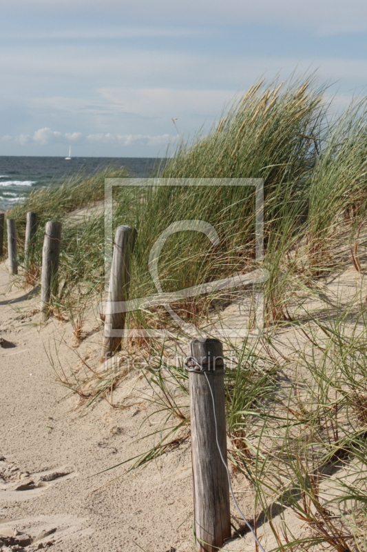 frei wählbarer Bildausschnitt für Ihr Bild auf Kissen