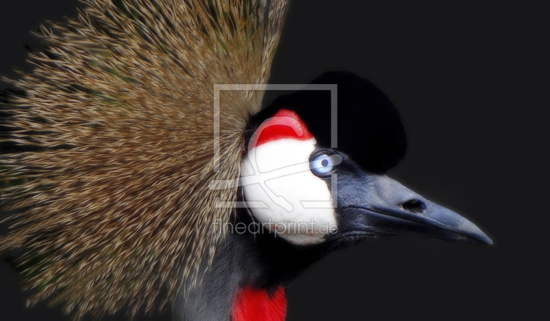 frei wählbarer Bildausschnitt für Ihr Bild auf Kissen