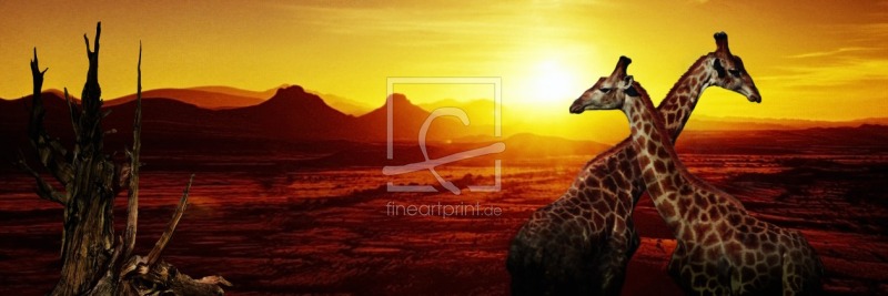 frei wählbarer Bildausschnitt für Ihr Bild auf Kissen
