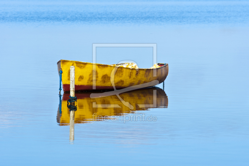frei wählbarer Bildausschnitt für Ihr Bild auf Kissen