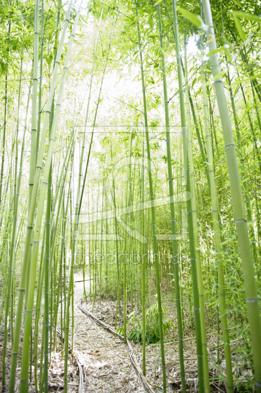 frei w&auml;hlbarer Bildausschnitt f&uuml;r Ihr Bild auf Kissen