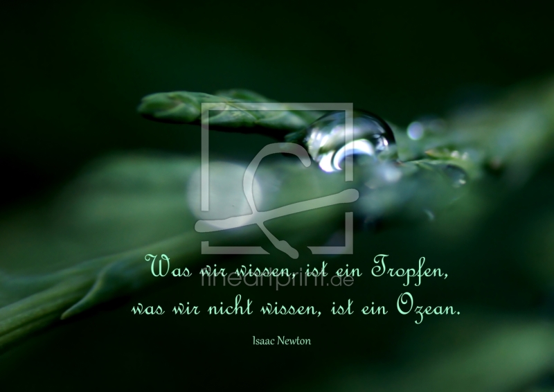 frei wählbarer Bildausschnitt für Ihr Bild auf Kissen