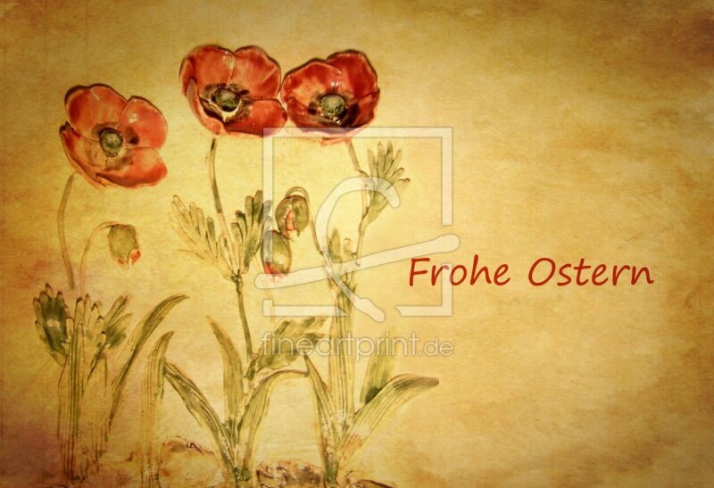 frei wählbarer Bildausschnitt für Ihr Bild auf Kissen