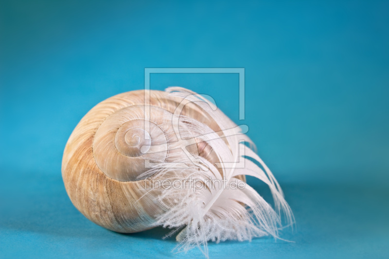 frei wählbarer Bildausschnitt für Ihr Bild auf Kissen