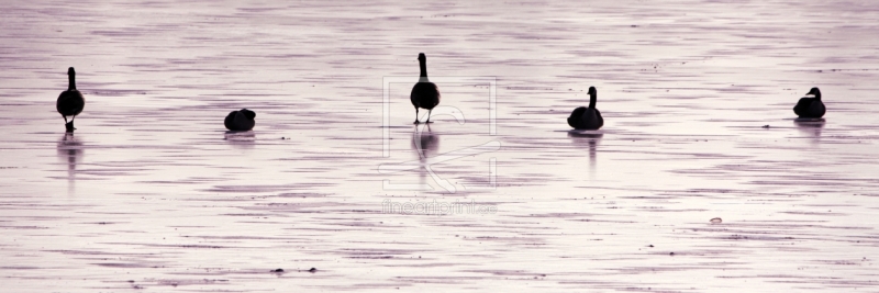 frei wählbarer Bildausschnitt für Ihr Bild auf Kissen