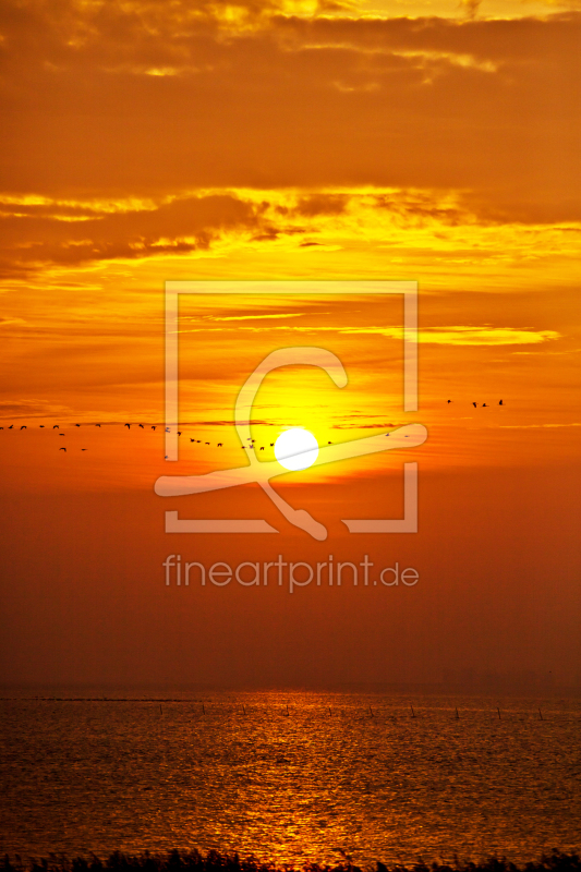 frei wählbarer Bildausschnitt für Ihr Bild auf Kissen