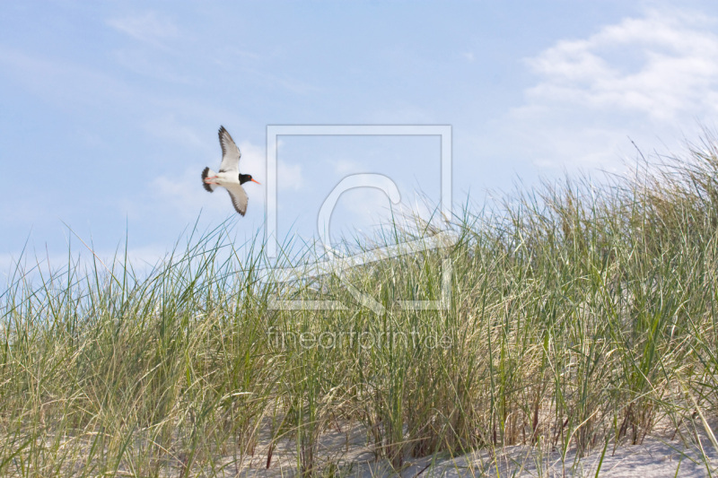 frei wählbarer Bildausschnitt für Ihr Bild auf Kissen