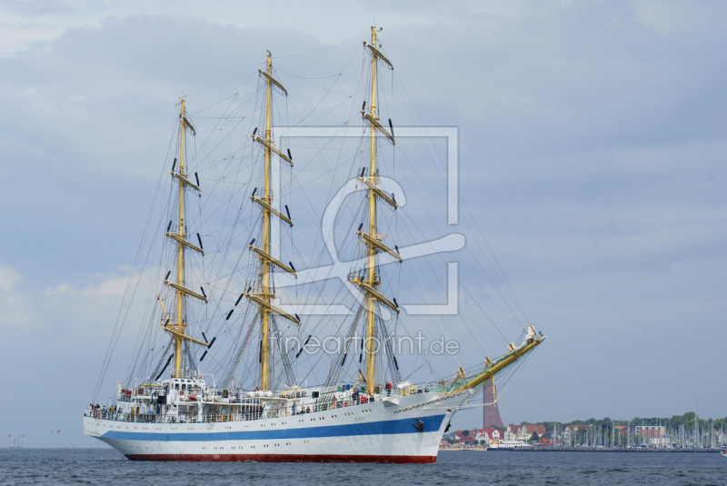 frei wählbarer Bildausschnitt für Ihr Bild auf Kissen