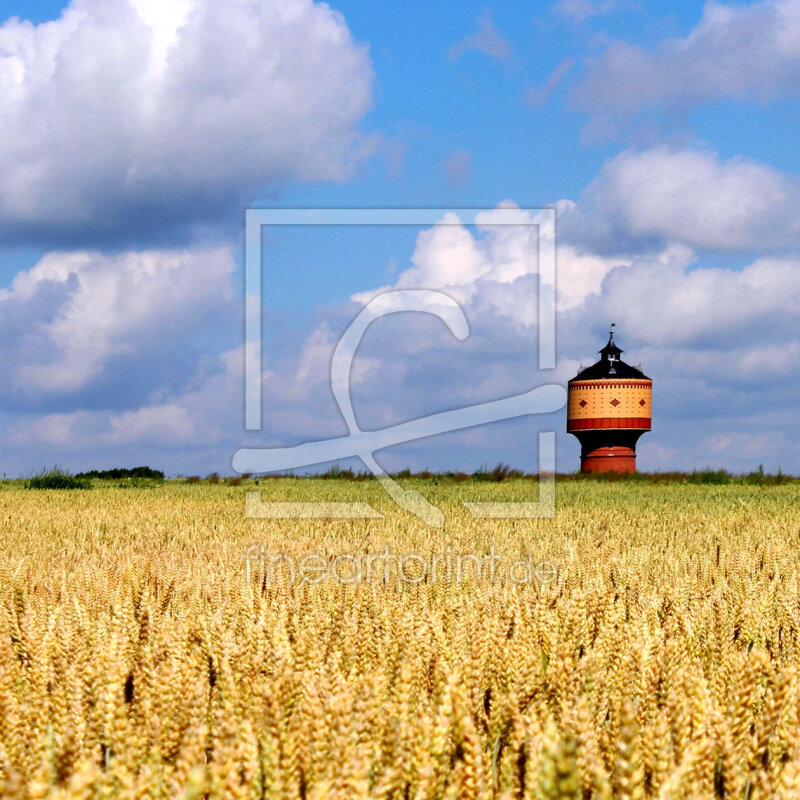 frei wählbarer Bildausschnitt für Ihr Bild auf Kissen