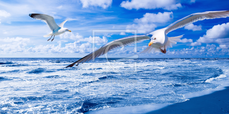 frei wählbarer Bildausschnitt für Ihr Bild auf Kissen