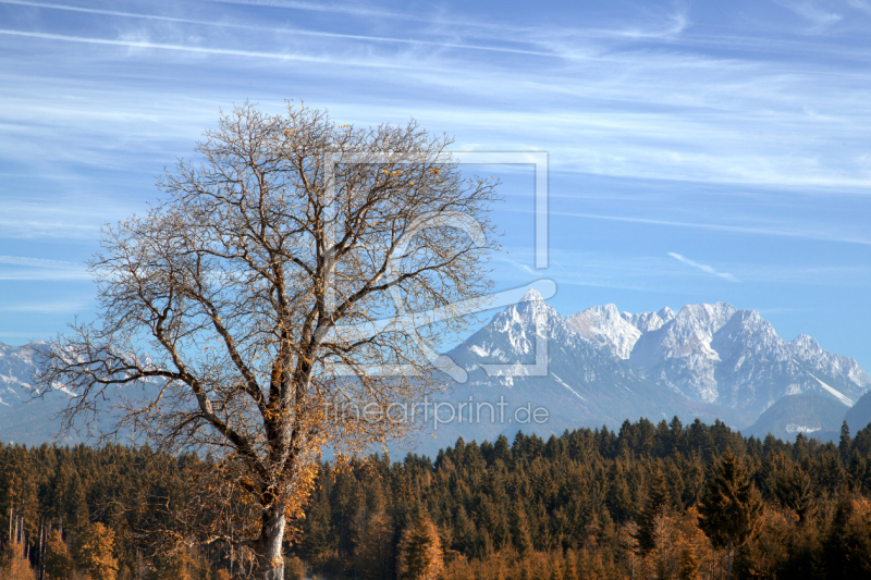 frei wählbarer Bildausschnitt für Ihr Bild auf Kissen