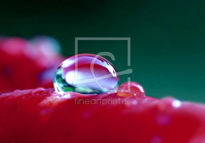 frei wählbarer Bildausschnitt für Ihr Bild auf Kissen