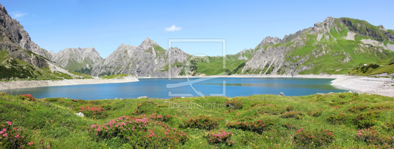 frei wählbarer Bildausschnitt für Ihr Bild auf Kissen